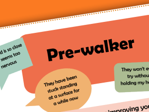 Pre-Walker // Gross Motor Programs