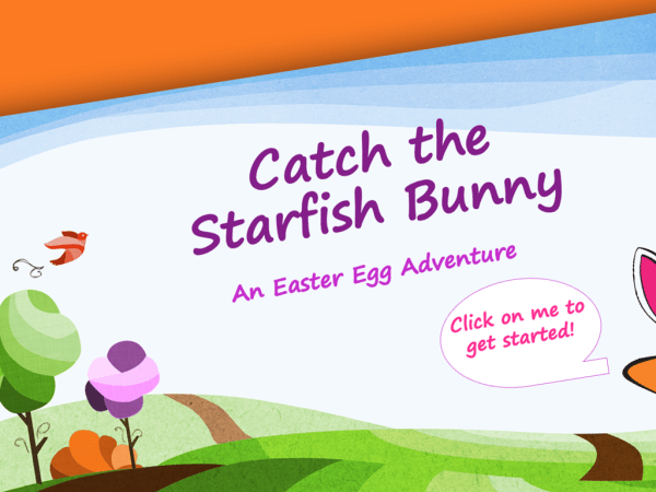 Catch The Starfish Bunny