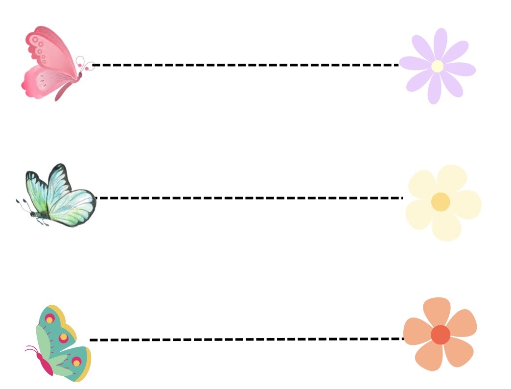 Variety of Tracing Activities